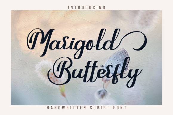 Marigold Butterfly: A Handwritten Typeface for Polished Digital Brands